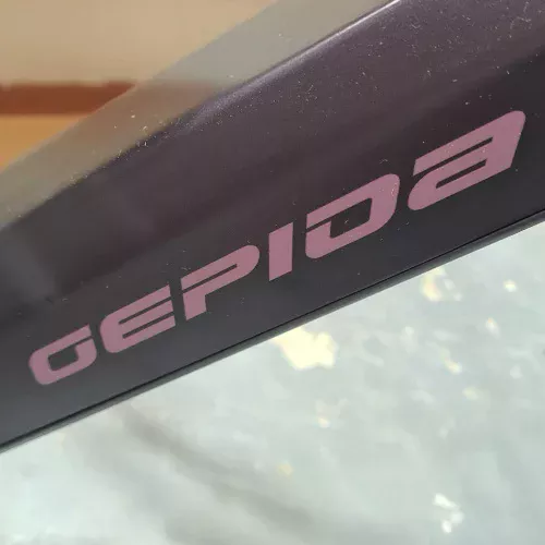 GEPIDA ALBOIN CURVE T DEORE 10 ELECTRIC BIKE (5)